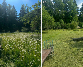 Vejos priežiūra, įrengimas - Vejos priežiūra &Scaron;iauliuose, &Scaron;iaulių rajone - 3