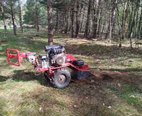 Tradiciniai amatai - Kelmų frezavimas &scaron;aku smulkintuvo nuoma - 4
