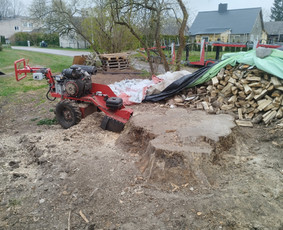 Tradiciniai amatai - Kelmų frezavimas &scaron;aku smulkintuvo nuoma - 3