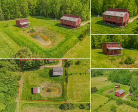 Fotografai - Nt fotografavimas ir filmavimas dronu - 1