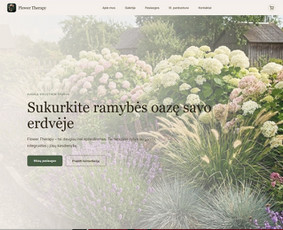 Paslaugos verslui - Interneto svetainių ir Ai sprendimai mažiems verslams - 1