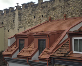Stogdengiai, stogo darbai - Stogo Darbai - 1