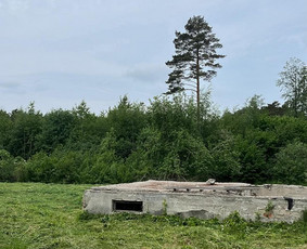 Vejos priežiūra, įrengimas - Žolės pjovimas, sklypų tvarkymas - 1