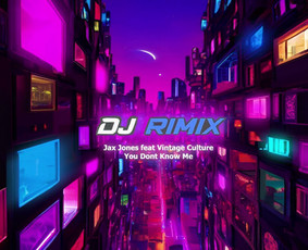 DJ paslaugos - Dj Rimix vakarėliai - 4