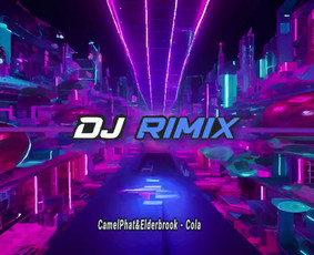 DJ paslaugos - Dj Rimix vakarėliai - 1