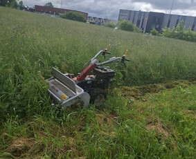 Pievų &scaron;ienavimas - Pjauname auk&scaron;ta žole mulčeriu,trimeriais - 3