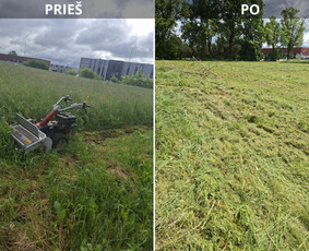 Pievų &scaron;ienavimas - Pjauname auk&scaron;ta žole mulčeriu,trimeriais - 2