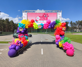 Foto sienelės, balionų girliandos ir personalizavimas / Party Inbox / Darbų pavyzdys ID 4431818