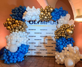 Foto sienelės, balionų girliandos ir personalizavimas / Party Inbox / Darbų pavyzdys ID 4431842