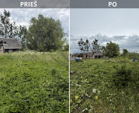 Vejos priežiūra, įrengimas - Žolės pjovimo paslaugos - 3