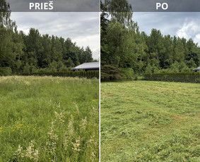 Vejos priežiūra, įrengimas - Žolės pjovimo paslaugos - 2