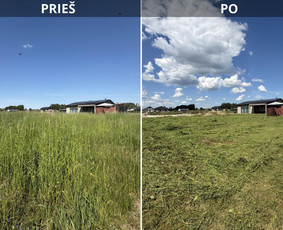 Vejos priežiūra, įrengimas - Žolės pjovimo paslaugos - 1