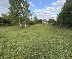 Apleistų sklypų tvarkymas - Žolės pjovimas žoliapjove, trimeriu - 3