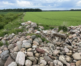 Skalda, smėlis, žvyras, juodžemis - Lauko akmenys - 2
