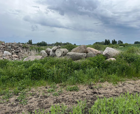Skalda, smėlis, žvyras, juodžemis - Lauko akmenys - 4