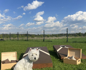 Einam Į Kiemą - Medinių lauko žaidimų nuoma / EINAM Į KIEMĄ - Medinių lauko žaidimų nuoma / Darbų pavyzdys ID 4433942