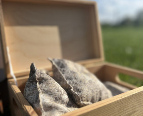 Einam Į Kiemą - Medinių lauko žaidimų nuoma / EINAM Į KIEMĄ - Medinių lauko žaidimų nuoma / Darbų pavyzdys ID 4433948