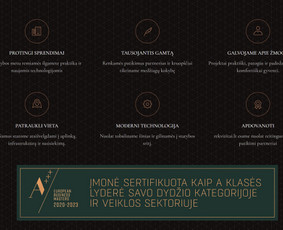 Interneto svetainių kūrimas - Profesionalios Interneto Svetainės ir Verslo Sprendimai - 4