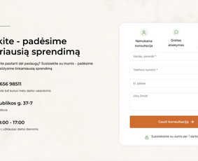 Interneto svetainių kūrimas - Profesionalios Interneto Svetainės ir Verslo Sprendimai - 2