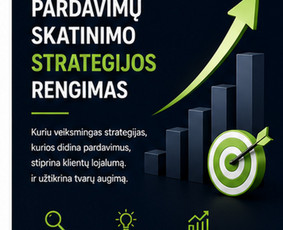 Pardavimų skatinimo strategijos rengimas - Meta, Google Ads reklama ir optimizavimas, Sopify paketas - 1