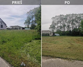 Vejos įrengimas: sėjimas, ruloninė veja - Žemės frezavimas, žolės pjovimas-mulčiavimas - 3