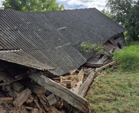 Griovimo darbai šiukšliu išvežimas / Audrius / Darbų pavyzdys ID 4435108