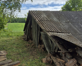 Griovimo darbai šiukšliu išvežimas / Audrius / Darbų pavyzdys ID 4435110