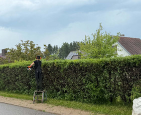 Vejos aeravimas - Vejos priežiūra ir aplinkos tvarkymo darbai Vilniuje - 1