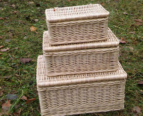 Pynėjas / Vidmantas Ražickas / Darbų pavyzdys ID 4437044