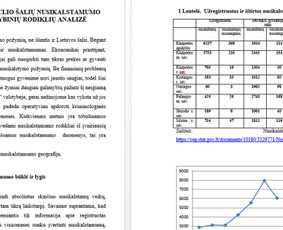 Kursiniai darbai - Ra&scaron;to darbų konsultacijos paslaugos - 1