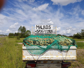 Aplinka, sodas - Malkos - 1