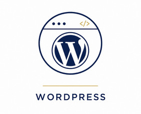 Programavimas su WordPress - Svetainės, Crm, automatizacijos ir programavimo sprendimai - 1