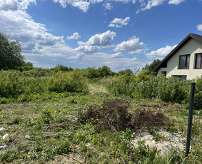 Tradiciniai amatai - Krūmų medžių mulčevimas - 3