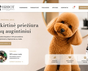 Interneto svetainių kūrimas - Profesionalios Interneto Svetainės ir Verslo Sprendimai - 1