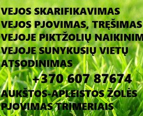 Aukštos, apleistos (apleistų sklypų) žolės pjovimas trimeriu / Apleistos žolės pjovimas trimeriais / Darbų pavyzdys ID 4439704