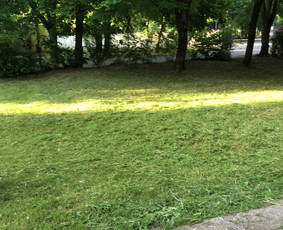 Aukštos, apleistos (apleistų sklypų) žolės pjovimas trimeriu / Apleistos žolės pjovimas trimeriais / Darbų pavyzdys ID 4439708