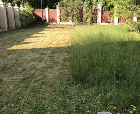 Aukštos, apleistos (apleistų sklypų) žolės pjovimas trimeriu / Apleistos žolės pjovimas trimeriais / Darbų pavyzdys ID 4439710