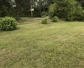 Aukštos, apleistos (apleistų sklypų) žolės pjovimas trimeriu / Apleistos žolės pjovimas trimeriais / Darbų pavyzdys ID 4439730
