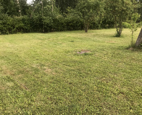 Aukštos, apleistos (apleistų sklypų) žolės pjovimas trimeriu / Apleistos žolės pjovimas trimeriais / Darbų pavyzdys ID 4439740