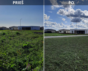 Aukštos, apleistos (apleistų sklypų) žolės pjovimas trimeriu / Apleistos žolės pjovimas trimeriais / Darbų pavyzdys ID 4439750