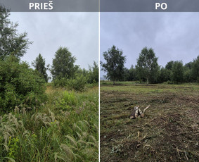 Žolės pjovimas / UAB Smaita / Darbų pavyzdys ID 4440018
