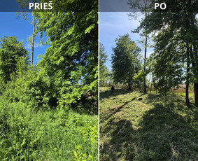 Žolės pjovimas / UAB Smaita / Darbų pavyzdys ID 4440020