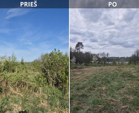 Žolės pjovimas / UAB Smaita / Darbų pavyzdys ID 4440022