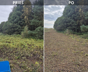 Žolės pjovimas / UAB Smaita / Darbų pavyzdys ID 4440026