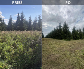 Žolės pjovimas / UAB Smaita / Darbų pavyzdys ID 4440028