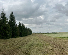 Žolės pjovimas / UAB Smaita / Darbų pavyzdys ID 4440032