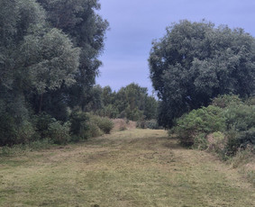 Pievų &scaron;ienavimas - Žolės pjovimas - 2