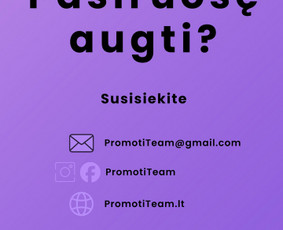 Profesionalus internetinių svetainių/el. parduotuvių kūrimas / PromotiTeam / Darbų pavyzdys ID 4440952