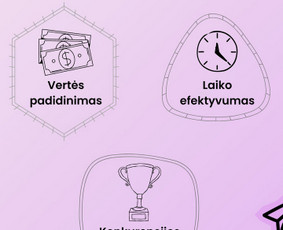 Profesionalus internetinių svetainių/el. parduotuvių kūrimas / PromotiTeam / Darbų pavyzdys ID 4440958