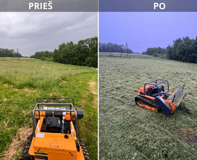 Statybos, apdaila - Žolės pjovimas, mulčiavimas - 3